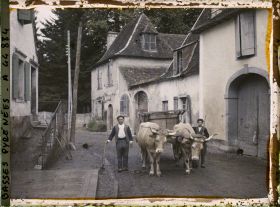 Image représentant France, Orthez, Attelage de b?ufs (2 Types Béarnais)