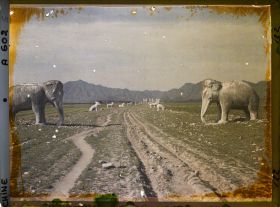Image représentant Ming Shisanling (" Treize Tombeaux des Ming ")