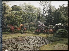 Image représentant Les " étangs " du marais dans leur écrin fleuri, vus en direction du nord-est