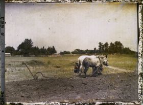 Image représentant Probablement aux environs ouest de Beijing