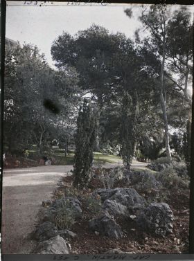 Image représentant Une allée du jardin près de la terrasse de la villa Dunure