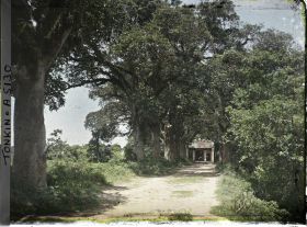 Image représentant L'allée conduisant au temple de Linh-lang