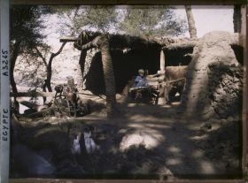 Image représentant Sakiéh à bœuf sur l'île d'Eléphantine
