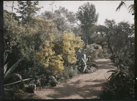 Image représentant Cap Martin Le Jardin