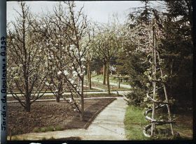 Image représentant Allée entre le verger-roseraie et la forêt bleue, vue près du jardin français en direction de l'ouest