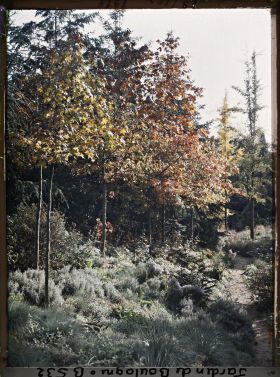 Image représentant Jonction de chemins menant au sôrintô et à un pont du " sanctuaire japonais "