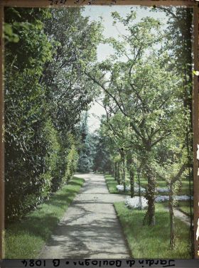 Image représentant Allée du verger-roseraie longeant la dépendance en direction de la forêt bleue