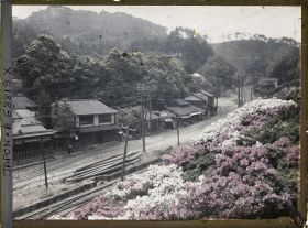 Image représentant Azalées en fleurs le long d'une voie ferrée dans un village