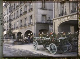 Image représentant Une charrette fleurie à l'Aarbergergasse