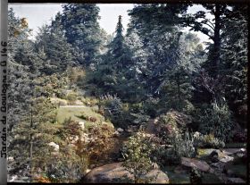 Image représentant Paysage arboré du " sanctuaire japonais " sur les rives d'un cours d'eau