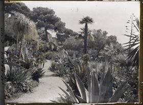 Image représentant Le Jardin