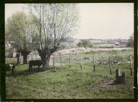 Image représentant France, Fontenay-Fleuri, Une pâture, vue prise de la route de St Cyr Direction Fontenay