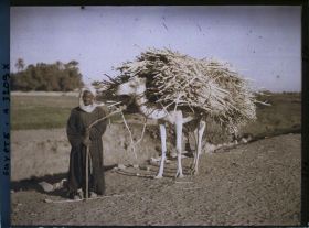 Image représentant Marchand de maïs et son chameau