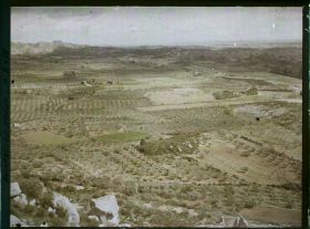 Image représentant Vue sur la plaine et les cultures d'oliviers