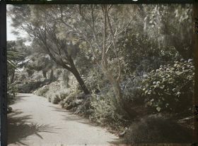 Image représentant Cap Martin Le Jardin