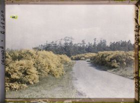 Image représentant Canada, Victoria, Beaconhill parc, autre vue