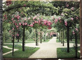 Image représentant Axe central du verger-roseraie vu en direction du jardin anglais, près du rond-point côté dépendance