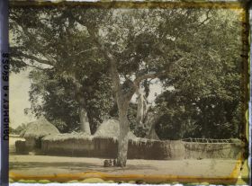Image représentant Le temple des Serpents ou temple des Pythons
