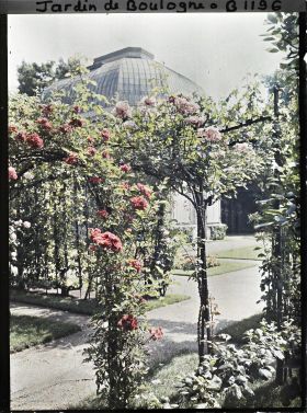 Image représentant Axe central du verger-roseraie, vu en direction du nord-est, aux abords du jardin français