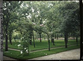 Image représentant Le verger-roseraie vu depuis l'angle nord-ouest proche de la dépendance