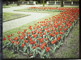 Image représentant Partie sud-est du jardin français, côté jardin anglais