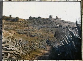 Image représentant Chemin parmi les aloès près des tombeaux des mérinides, au nord de la ville
