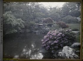 Image représentant Jardin d'une résidence