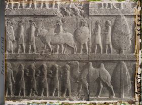 Image représentant Escalier nord de l'Apadana, détail de la procession des tributaires (les Bactriens)