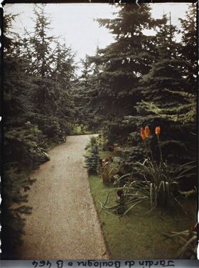 Image représentant Allée de la forêt bleue bordée de plates-bandes fleuries