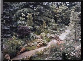 Image représentant Arbres, bambous et rocaille fleurie au bord d'un chemin du " sanctuaire japonais " menant au sorinto