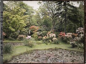 Image représentant Partie est du marais fleuri de rhododendrons et d'azalées, vu en direction du nord-est
