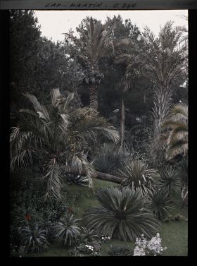 Image représentant Cap-Martin - Le Jardin