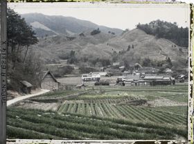 Image représentant Rizières et village sur fond de paysage escarpé