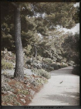 Image représentant Cap Martin La Villa