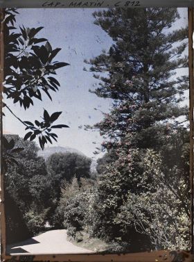 Image représentant Une allée du jardin près de la villa