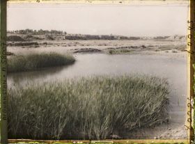 Image représentant Les berges du fleuve Tarnak
