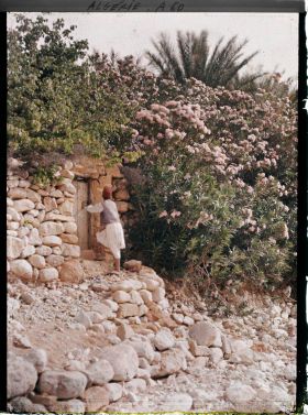 Image représentant Un jeune garçon près de la porte d'un jardin