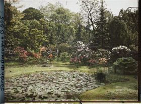 Image représentant Les " étangs " du marais dans leur écrin fleuri, vus en direction du nord-est