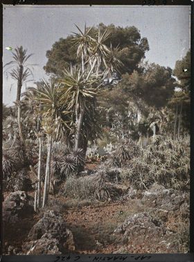 Image représentant Cap Martin Le Jardin