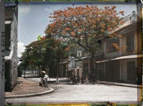 Image représentant Des flamboyants en fleurs, un pousse-pousse et des porteurs d'eau devant le bazar japonais " Yamada " dans la " rue des Tasses "