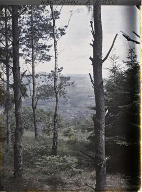 Image représentant Panorama de Masevaux