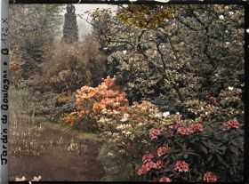Image représentant Magnolia, azalées et rhododendrons longeant les étangs du marais au nord-est