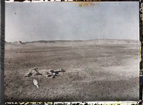 Image représentant Cadavre de chameau