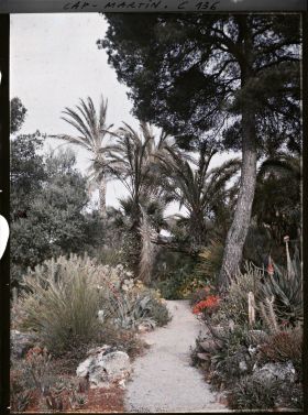 Image représentant Une allée dans le jardin