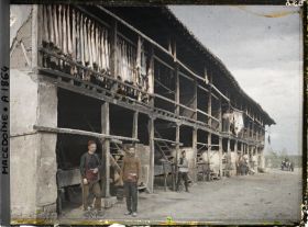 Image représentant La tannerie, séchage de peaux