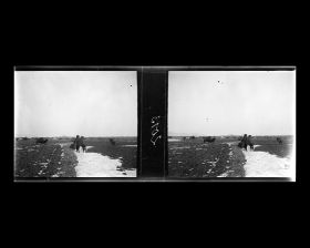 Image représentant Un troupeau de chameaux entre Nankou et Ming Shisanling (&quot;Treize Tombeaux des Ming&quot;)