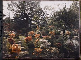 Image représentant Pas japonais sur une butte du " sanctuaire japonais " ornée d'azalées en fleurs