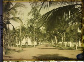 Image représentant Intersection d'avenues dans le quartier européen, présence de ligne télégraphique suspendue aux arbres