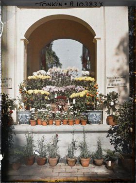 Image représentant Des chrysanthèmes en pots dans exposition florale