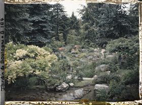 Image représentant Glycine au bord de l'eau et butte fleurie du " sanctuaire japonais ", peu éloignée du temple shinto